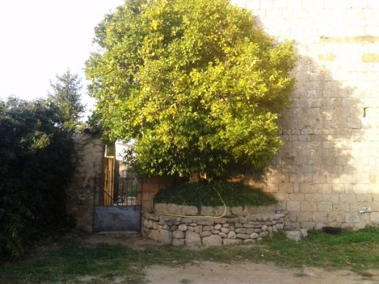 Iglesia Fortificada de Santa Eugenia