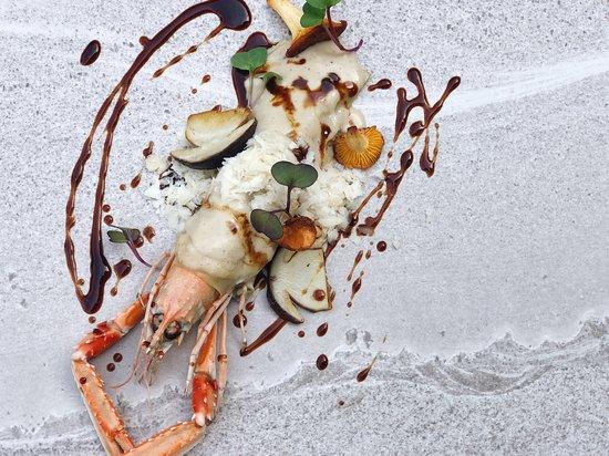 La Lolis By Eldorado Petit