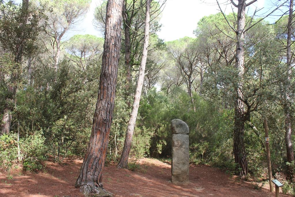 menhir de la Murtra