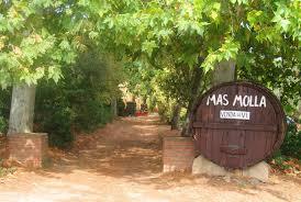 Exploitation viticole Mas Molla