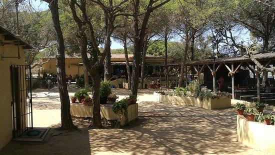 Restaurante El Senglar