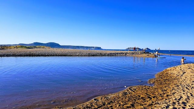 Aiguamolls del Baix Emporda